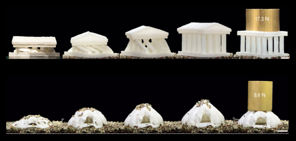 Fluid-powered soft systems